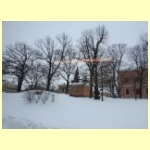 DSCN5184.JPG